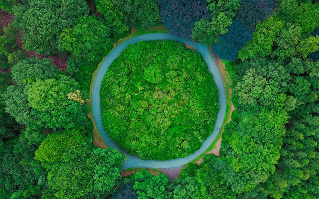 Provinciebestuur Utrecht kiest nadrukkelijk voor groen