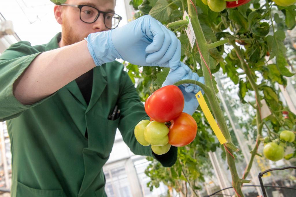 Regio Foodvalley - VNG Utrecht