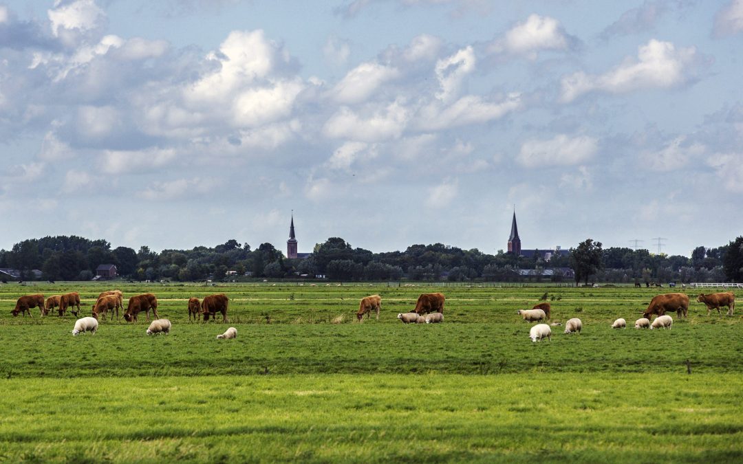De Ronde Venen op zoek naar nieuwe burgemeester