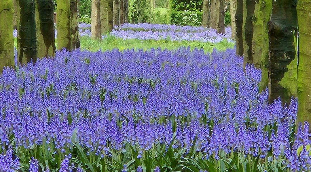 Voorjaarscongres 2026